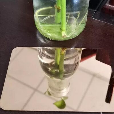 Hoja de acero inoxidable 316 laminada en caliente para perforar paredes con superficie BA 2B 8K HL